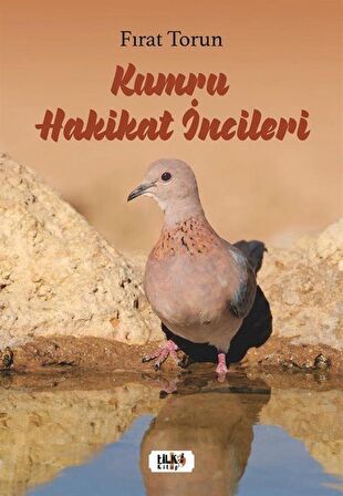 Kumru Hakikat İncileri