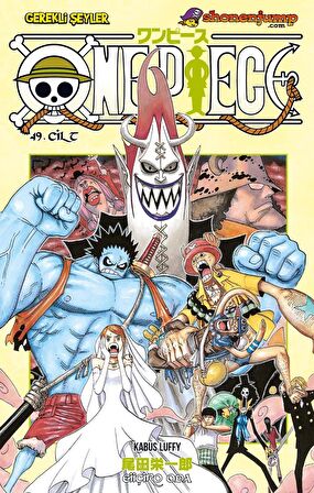 One Piece 49. Cilt