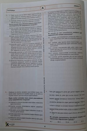 2026 TYT ÖSYM Arşivi Karma Kara Kutu Çıkmış Soru Türkiye Geneli D. Çözümlü Deneme 10/6.Kitapçık