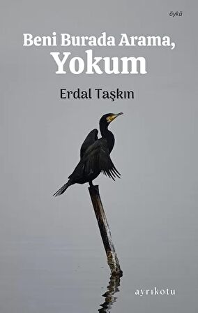 Beni Buradan Arama, Yokum