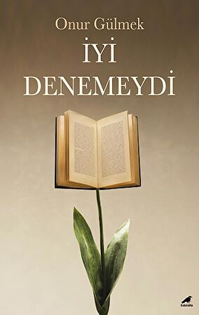 İyi Denemeydi