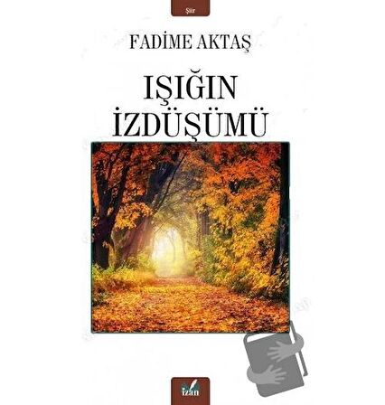 Işığın İzdüşümü