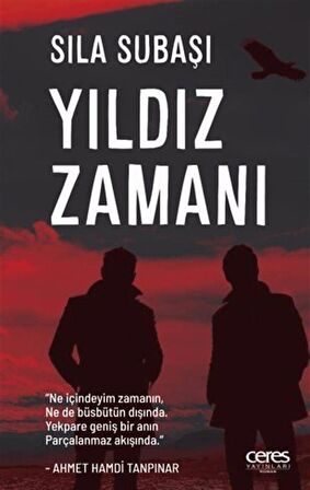 Yıldız Zamanı