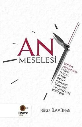 An Meselesi