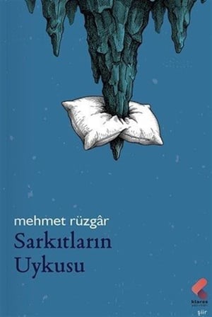 Sarkıtların Uykusu / Mehmet Rüzgar