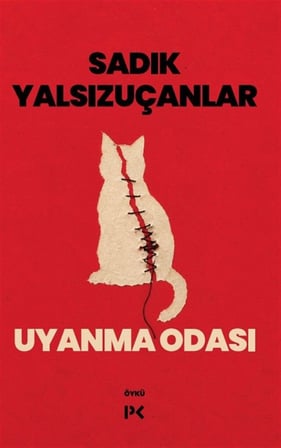 Uyanma Odası / Sadık Yalsızuçanlar