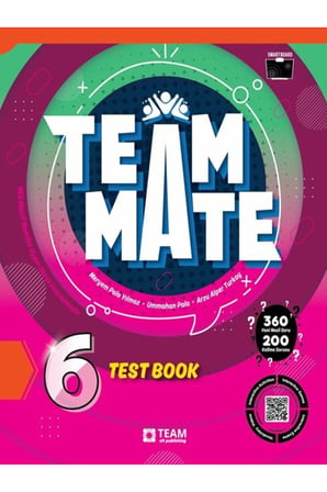 TeamMate 6 Test Book