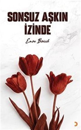 Sonsuz Aşkın İzinde / Emre Biricik