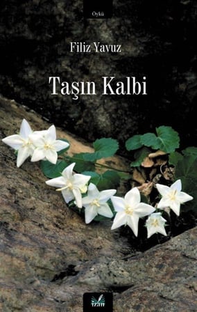 Taşın Kalbi / Filiz Yavuz