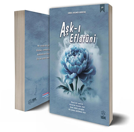 Aşkı Eflatuni