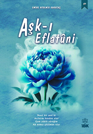 Aşkı Eflatuni