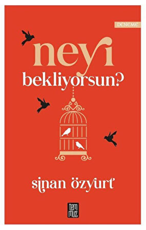 Neyi Bekliyorsun? / Sinan Özyurt