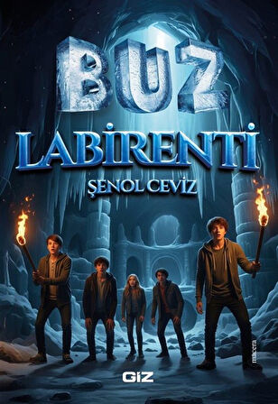 Buz Labirenti / Şenol Ceviz