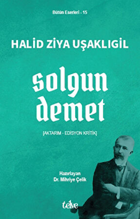 Solgun Demet