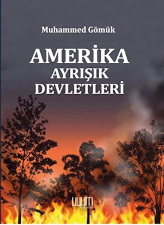 Amerika Ayrışık Devletleri