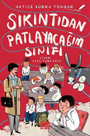 Sıkıntıdan Patlayacağım Sınıfı / Hatice Kübra Tongar
