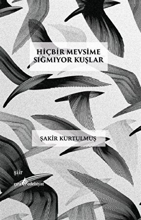 Hiçbir Mevsime Sığmıyor Kuşlar