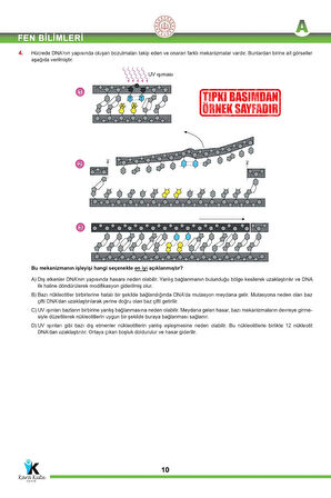 2025 8.sınıf Lgs Mayıs Ayı Meb Örnek Soru Tıpkı Basım 4'lü Sarmal Deneme Paketi Video/pdf Çözümlü