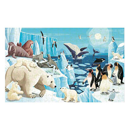 Sassi Save The Planet - The Poles