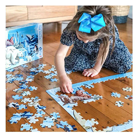 Sassi Save The Planet - The Poles