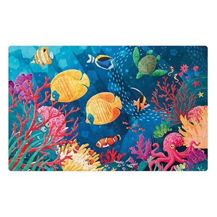 Sassi Save The Planet - The Coral Reef