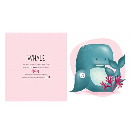 Sassi Who Lives in The Sea