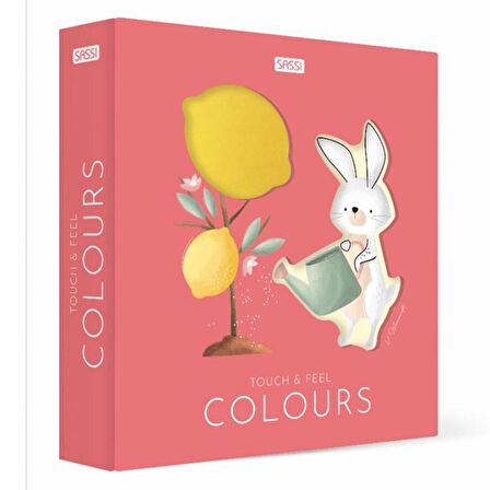 Sassi Touch and Feel - Colours
