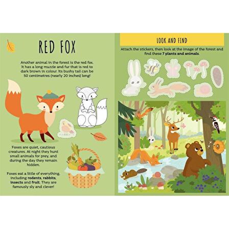 Sassi The Forest - Sticker and Activities