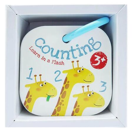 Yoyo Books Learn in a Flash - Counting