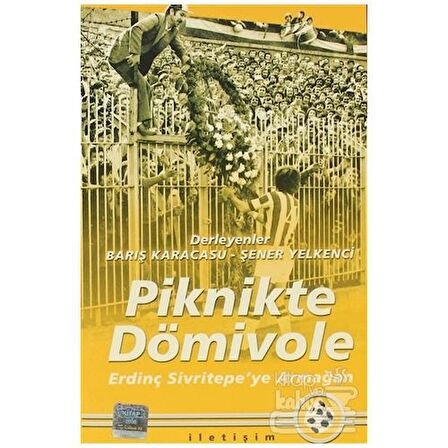 Piknikte Dömivole