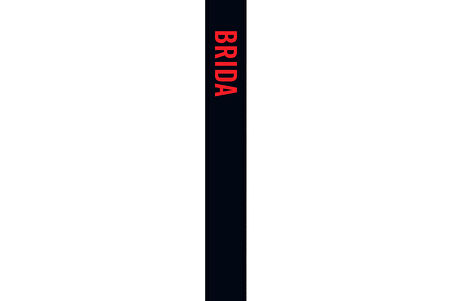 Brida