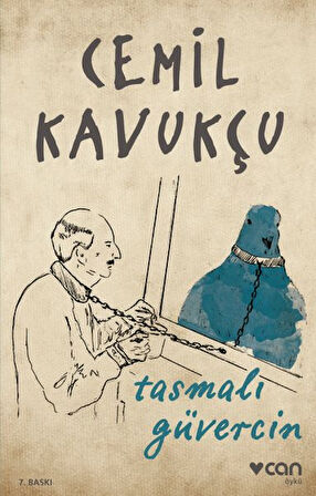 Kitap: Tasmalı Güvercin