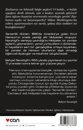 Serserilik Günleri