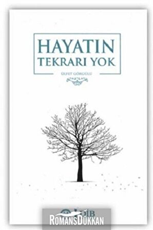 Hayatın Tekrarı Yok