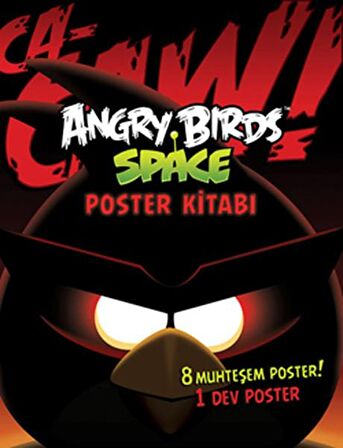 Angry Birds Space Poster Kitabı