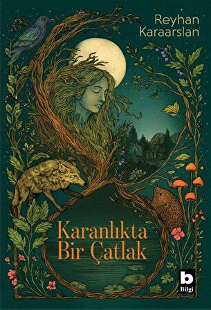 Karanlıkta Bir Çatlak / Reyhan Karaarslan
