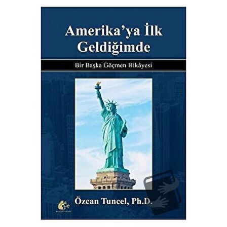 Amerika'ya İlk Geldiğimde