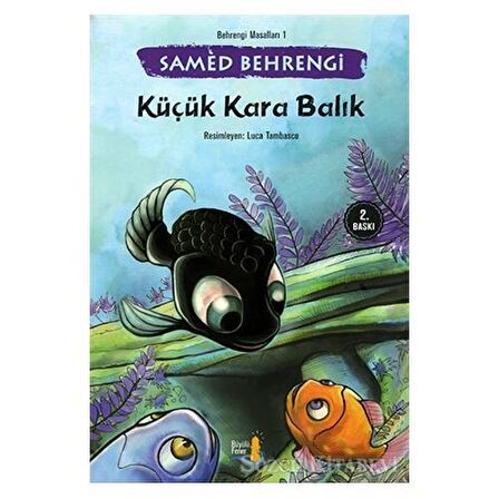 Küçük Kara Balık - Behrengi Masalları 1