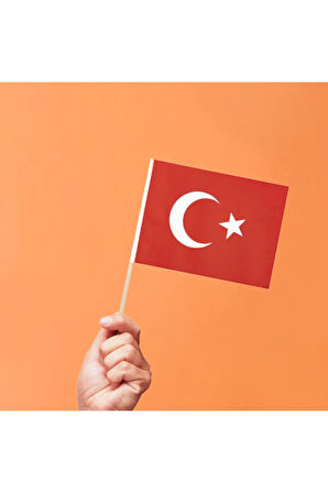 20 Adet Çıtalı Sopalı Milli Bayramlar İçin Bayrak