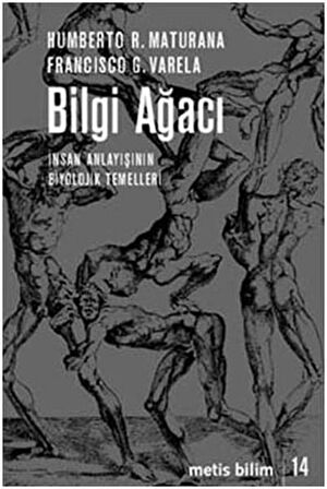 Bilgi Ağacı