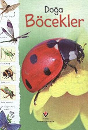 Doğa: Böcekler