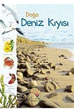 Doğa: Deniz Kıyısı