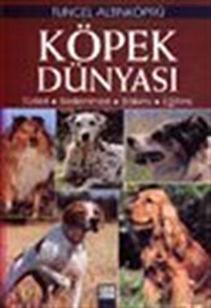 Köpek Dünyası / Psikolog Tuncel Altınköprü