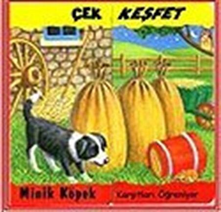 Minik Köpek-Karşıtları Öğreniyor / Çek Keşfet / Kathryn Smith