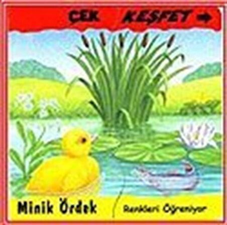 Minik Ördek-Renkleri Öğreniyor / Çek Keşfet / Kathryn Smith