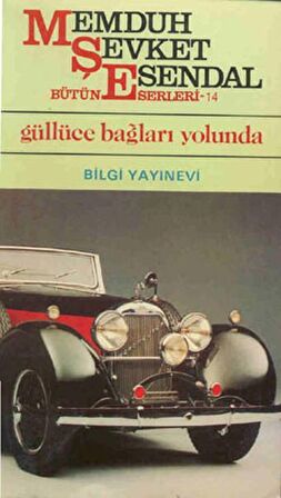 Güllüce Bağları Yolunda