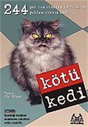 Kötü Kedi