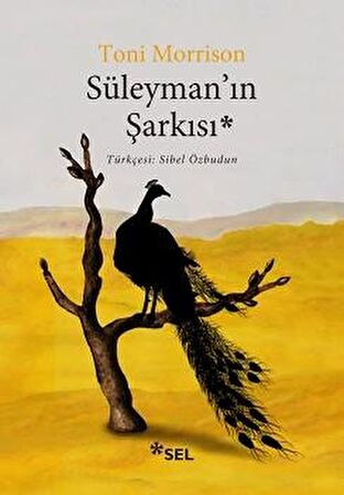 Süleyman'ın Şarkısı