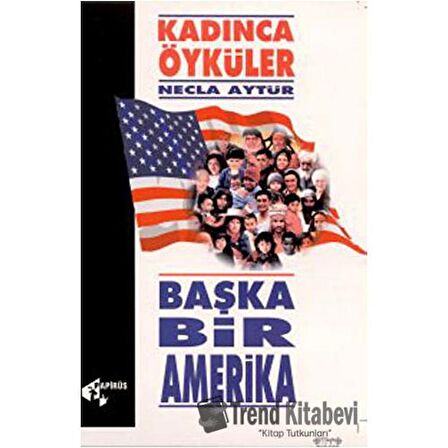 Başka Bir Amerika Kadınca Öyküler