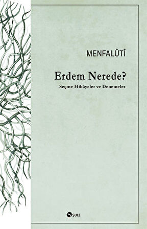 Erdem Nerede? Seçme Hikayeler ve Denemeler